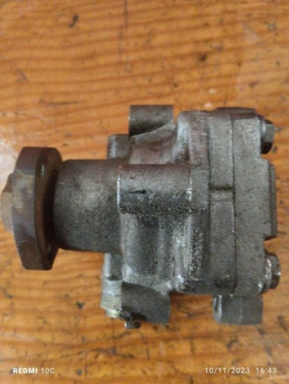 Bomba dirección Volkswagen Golf IV (1J1) (1997-20