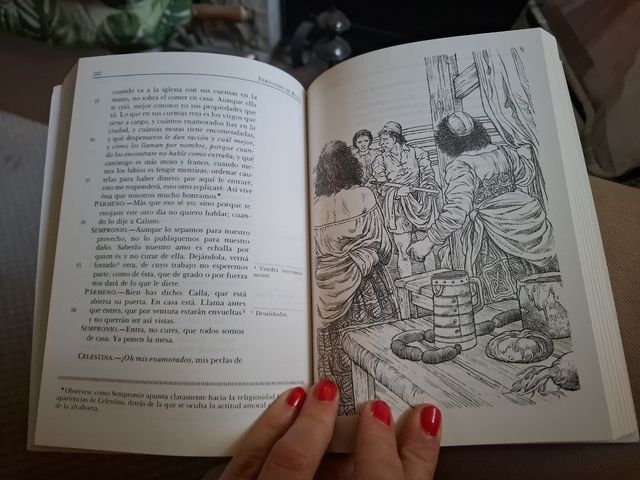 La Celestina (Biblioteca Didactica Anaya) (Span...