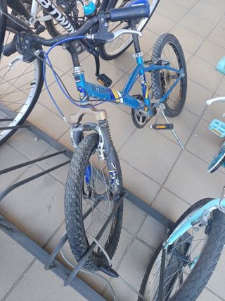 Bicicletas B'Twin y Raleigh