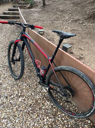 Bicicleta MTB Focus Raven Max Team 29