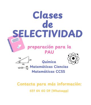 CLASES ONLINE PARA SELECTIVIDAD