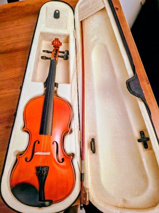Cuerdas Thomastik Dominant 132 1/2.
Violín.
Funda.