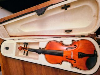Cuerdas Thomastik Dominant 132 1/2.
Violín.
Funda.
