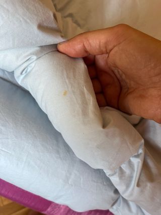 Edredón plumón Tex Cama 90-105