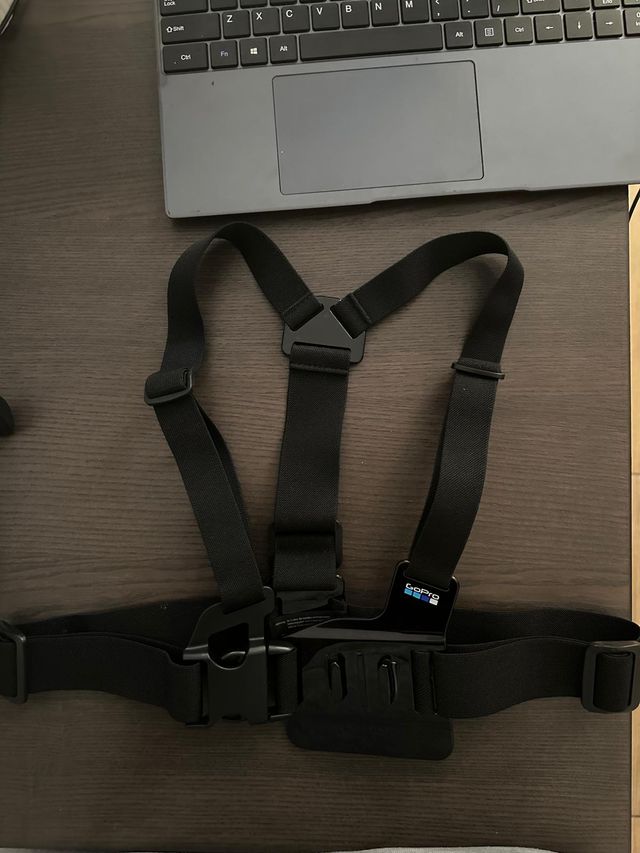 gopro chesty