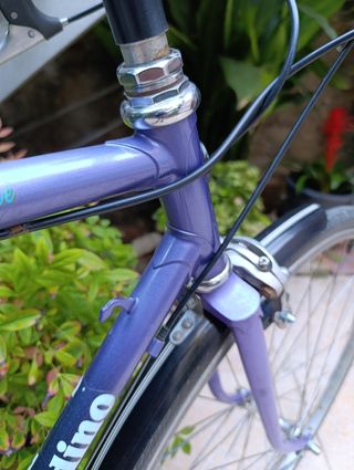 Bicicleta Urbana Villiger Cro-Mo