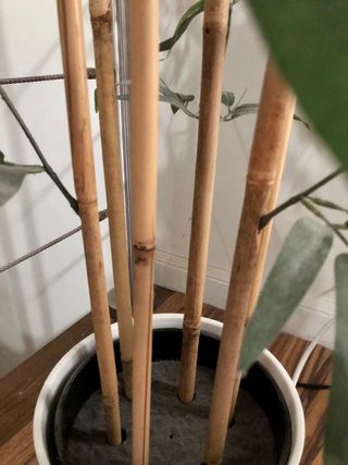 Planta de Bambú Artificial Decorativa