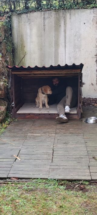 Cabaña de madera para jardín