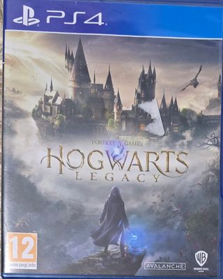 Hogwarts Legacy PS4 (PlayStation 4)