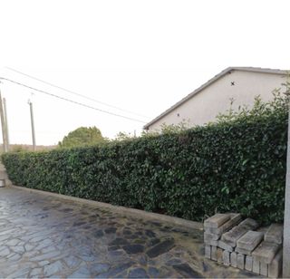 jardinero con muy buen precio