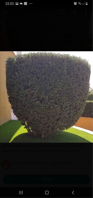 jardinero con muy buen precio