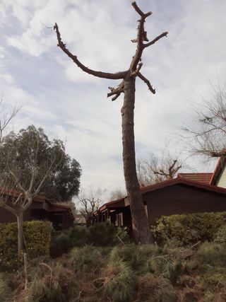 jardinero con muy buen precio