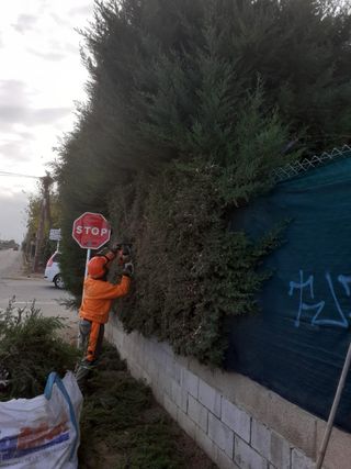 jardinero con muy buen precio