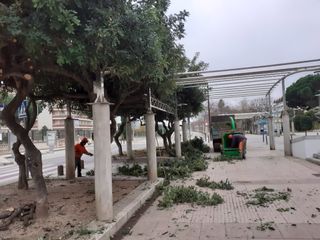 jardinero con muy buen precio