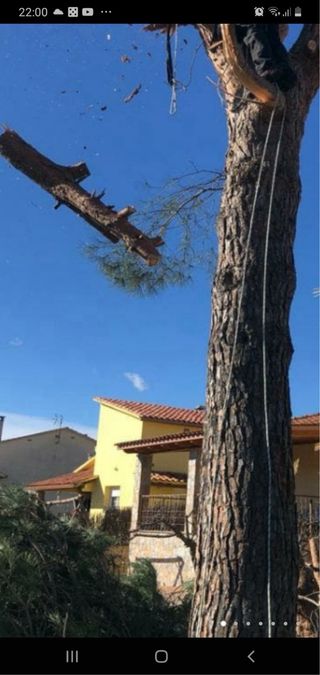 jardinero con muy buen precio