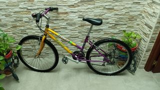 Bicicleta Montaña Infantil Mediana