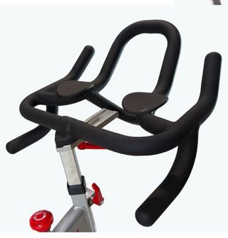 BH FITNESS Bicicleta Ciclismo Indoor REX H921