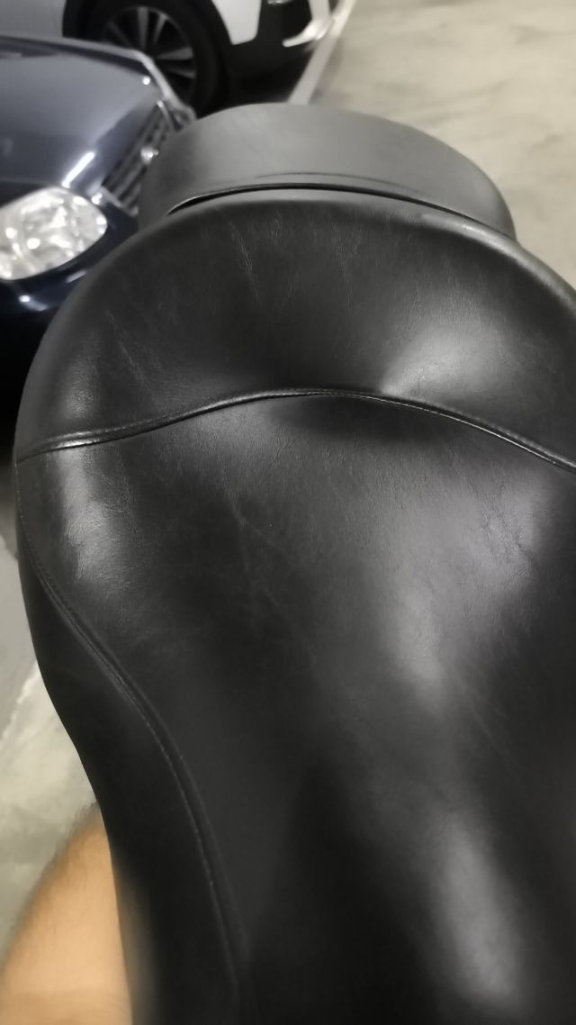 Asiento Sundowner Harley Sportster