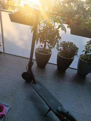 Xiaomi Mi Pro 2 Patinete Eléctrico