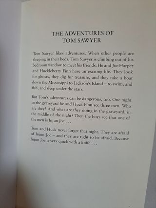 Libro The Adventure Of Tom Sawyer