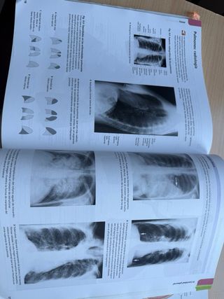 ATLAS PORRERO ANATOMÍA