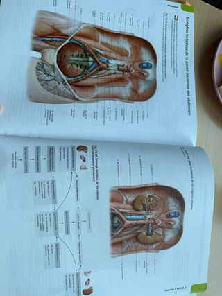ATLAS PORRERO ANATOMÍA