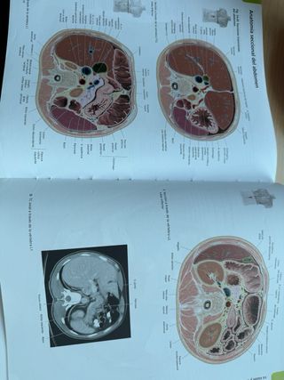 ATLAS PORRERO ANATOMÍA