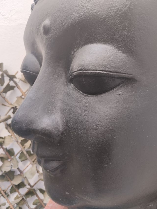 cabeza Buda de 40 kilos 50 cm de ancho 60cm alto