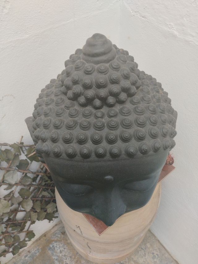 cabeza Buda de 40 kilos 50 cm de ancho 60cm alto