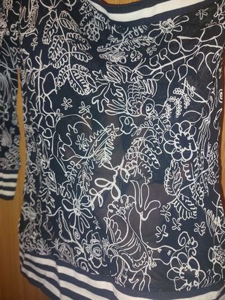 Blusa transparente manga larga B&N