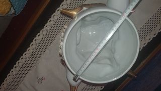 Cerámica Antigua 2 delfínes