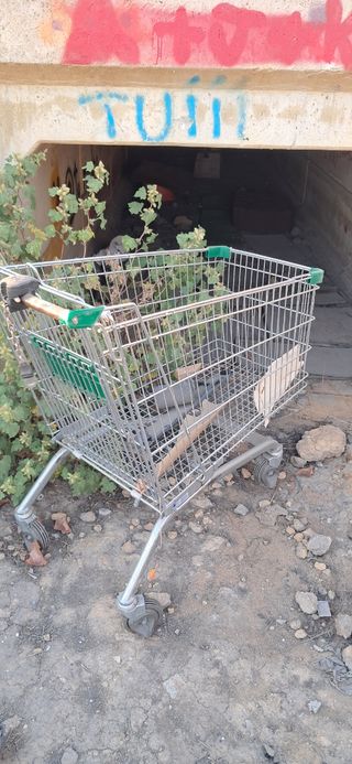 Carrito de la compra