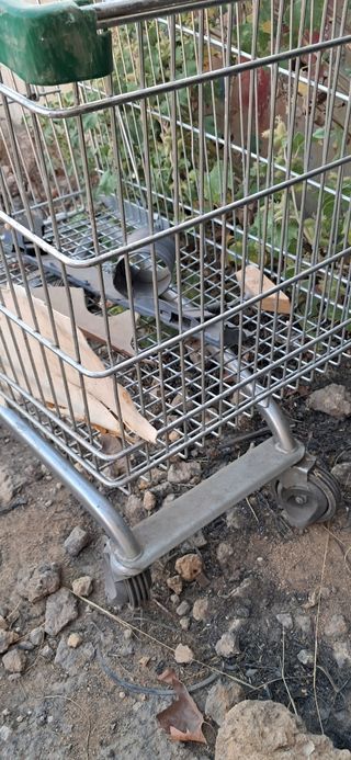 Carrito de la compra