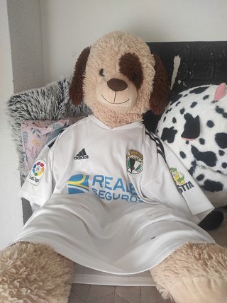 Camiseta Oficial Burgos CF
Talla L