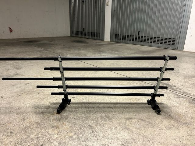 griglia auto per cani