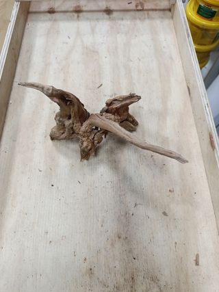 Raíz de madera para decoración de acuario