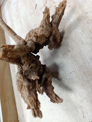Raíz de madera para decoración de acuario