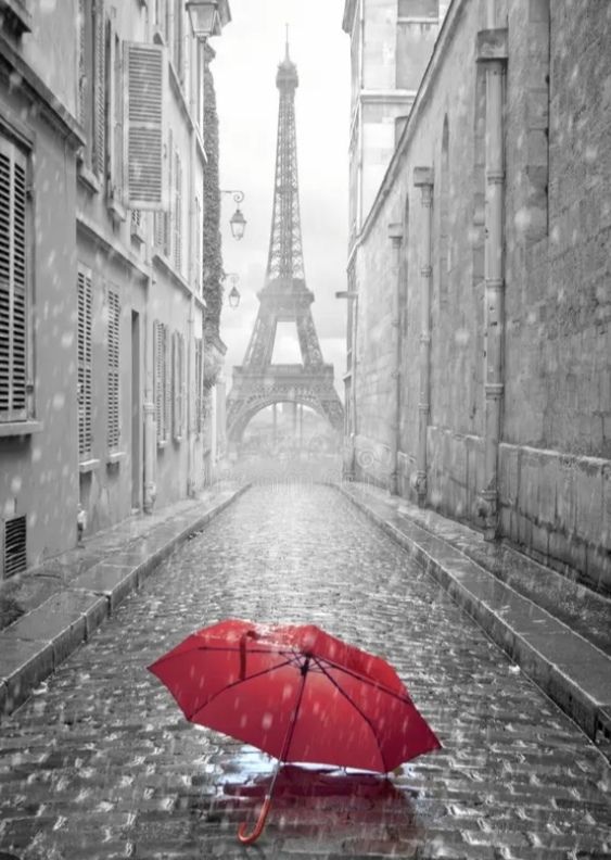 Zapatero 3 módulos Foto París