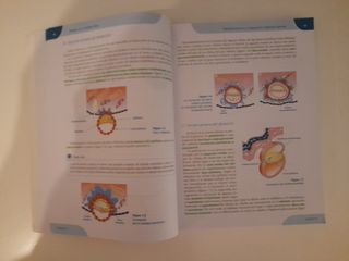 Estudio de la cavidad oral