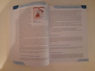 Estudio de la cavidad oral