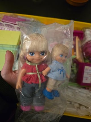 Hospital Barriguitas 2010