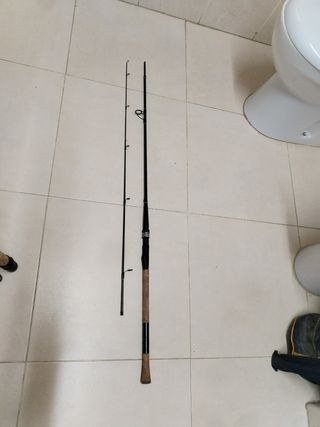 Set de varias cañas de pescar
