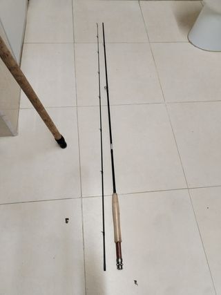 Set de varias cañas de pescar