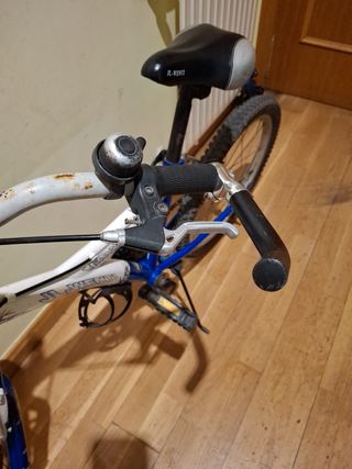 Bicicleta infantil 20 pulgadas