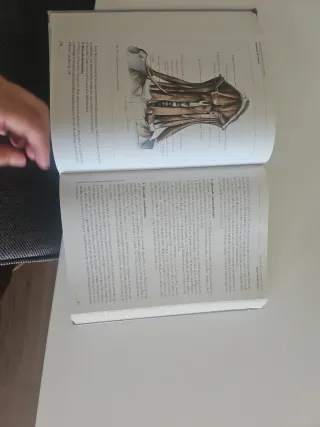 Anatomía Humana Descriptiva, topográfica y func...