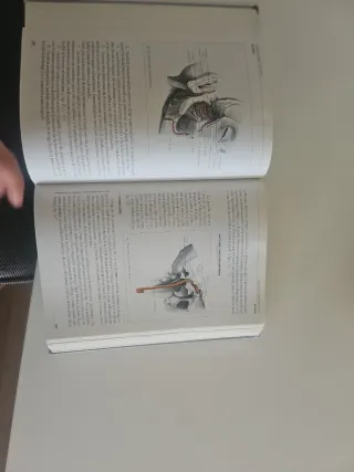 Anatomía Humana Descriptiva, topográfica y func...