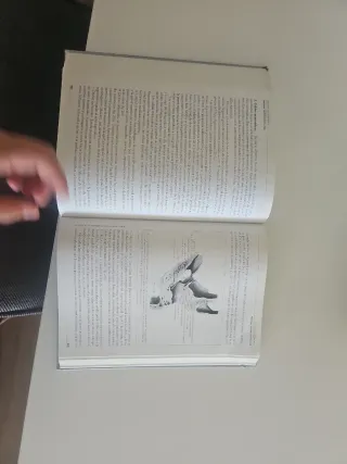 Anatomía Humana Descriptiva, topográfica y func...