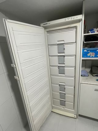 Congelador vertical