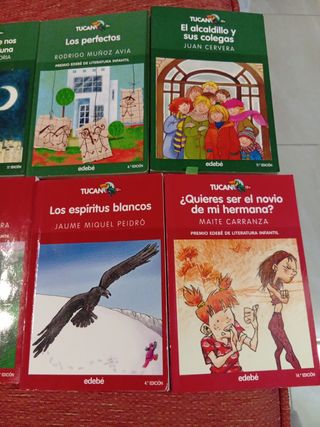 Lote libros infantiles 10-12 años
