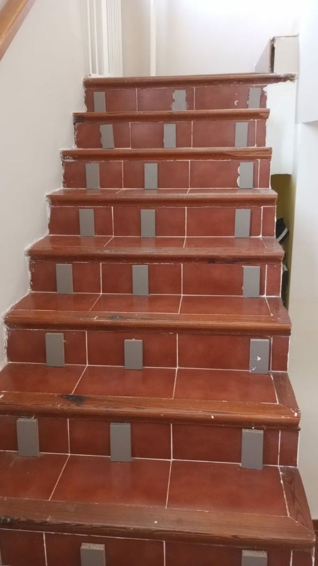 Reforma integral económicas